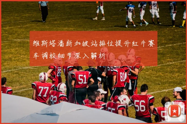 维斯塔潘新加坡站排位提升红牛赛车调校细节深入解析