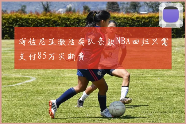 海佐尼亚激活离队条款NBA回归只需支付85万买断费